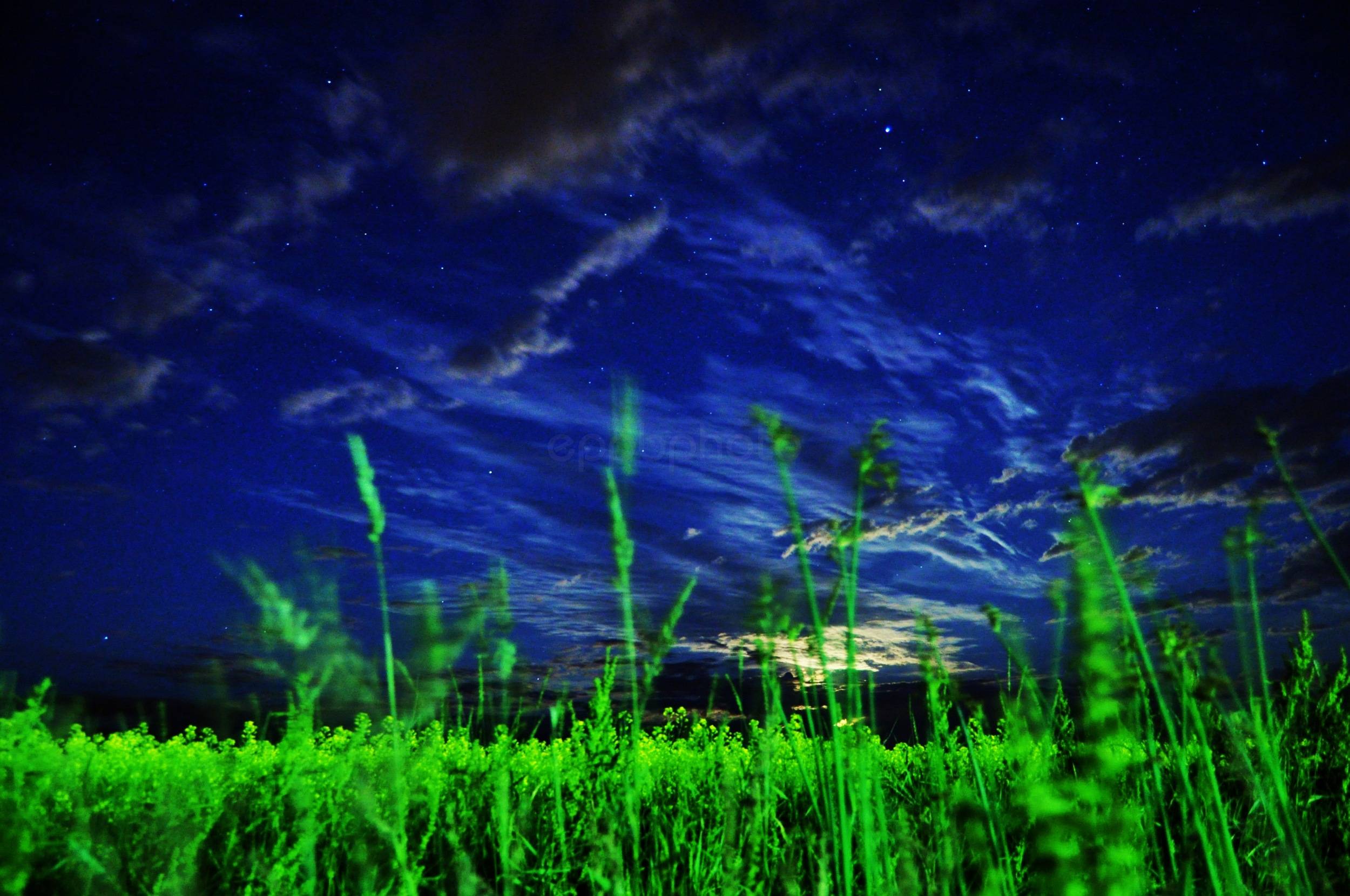 Moonrise Over Canola — 2010-06-30 01:25:26 — © eppbphoto.com