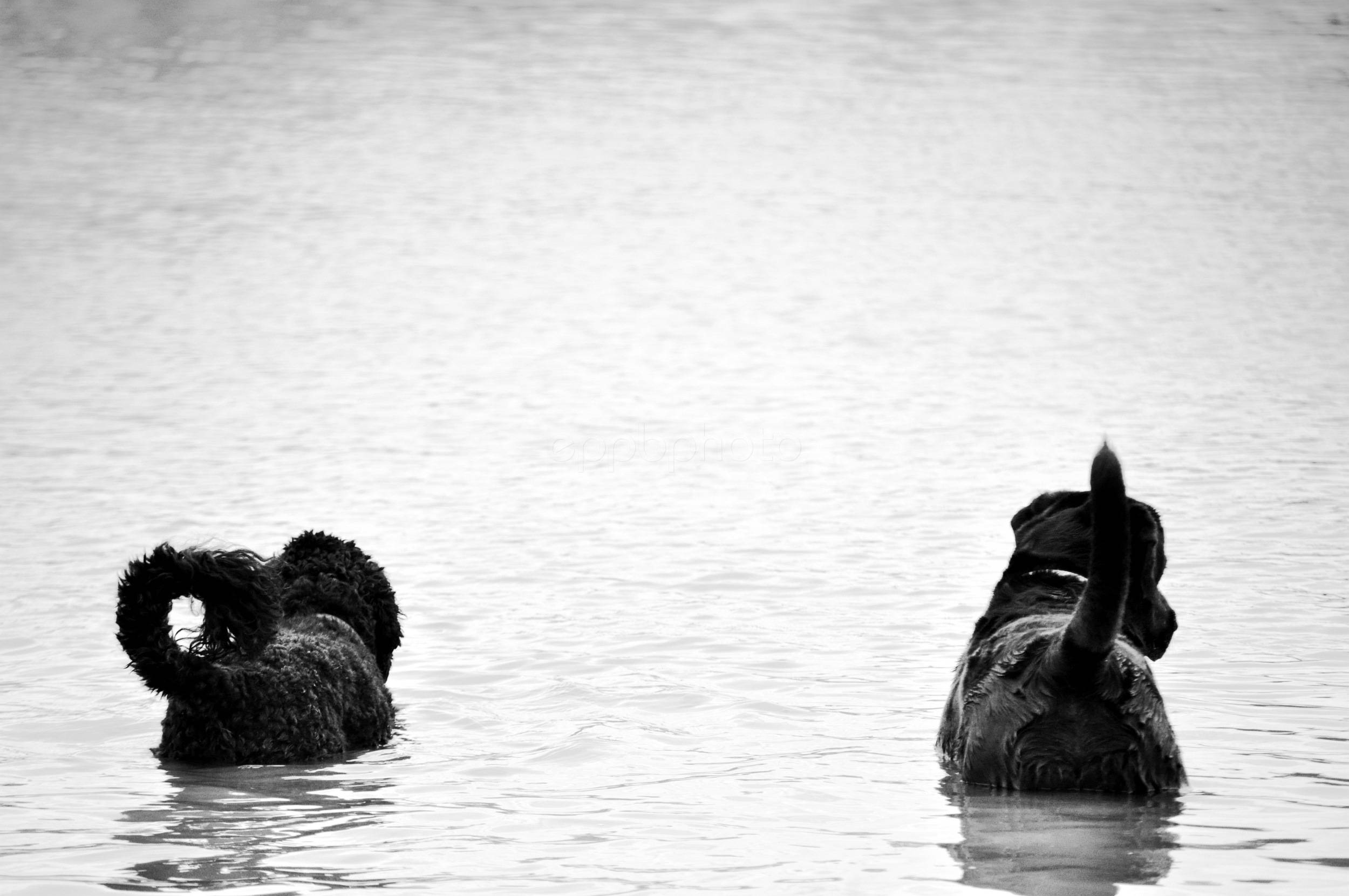 Fishin' Friends — 2010-08-23 23:25:01 — © eppbphoto.com