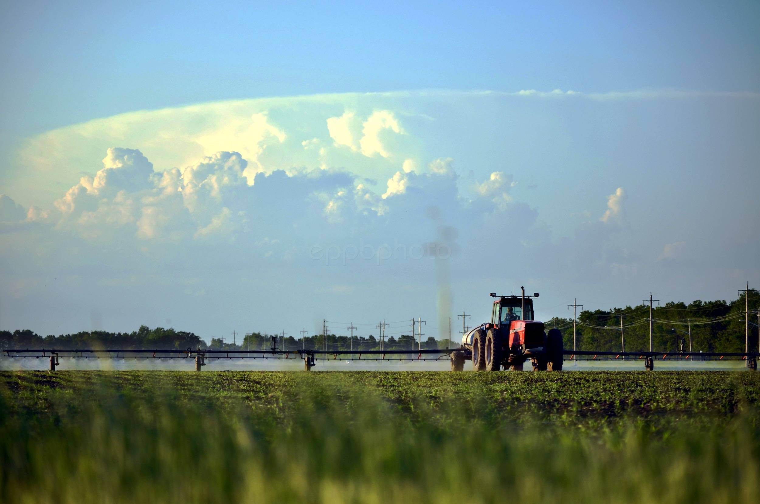 Beating the Weather — 2011-06-14 19:49:15 — © eppbphoto.com